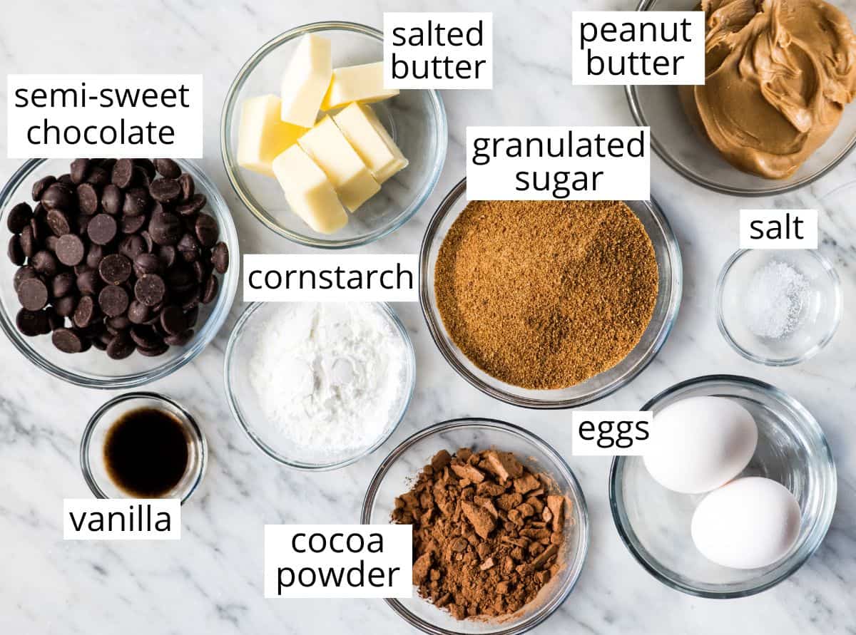 overhead photo of the labeled ingredients in this Flourless Peanut Butter Brownies recipe