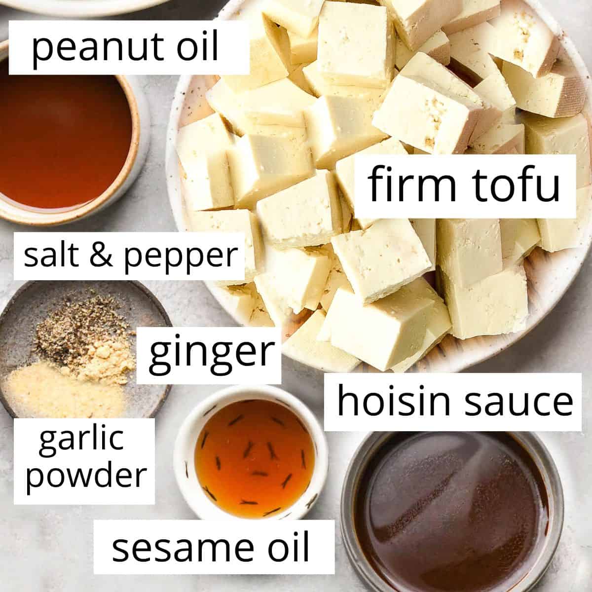 overhead photo of the labeled ingredients in this Hoisin Tofu Recipe 