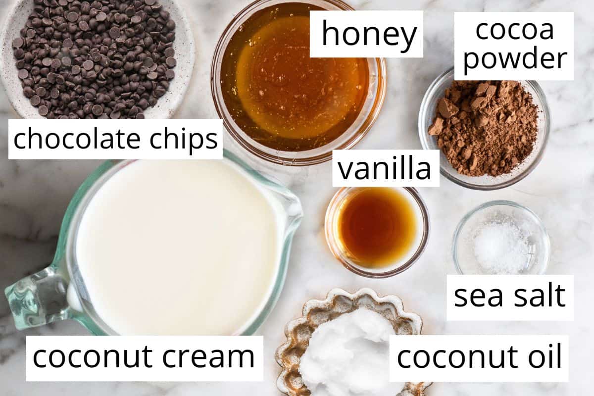 overhead photo of the labeled ingredients in this Paleo Chocolate Ice Cream recipe