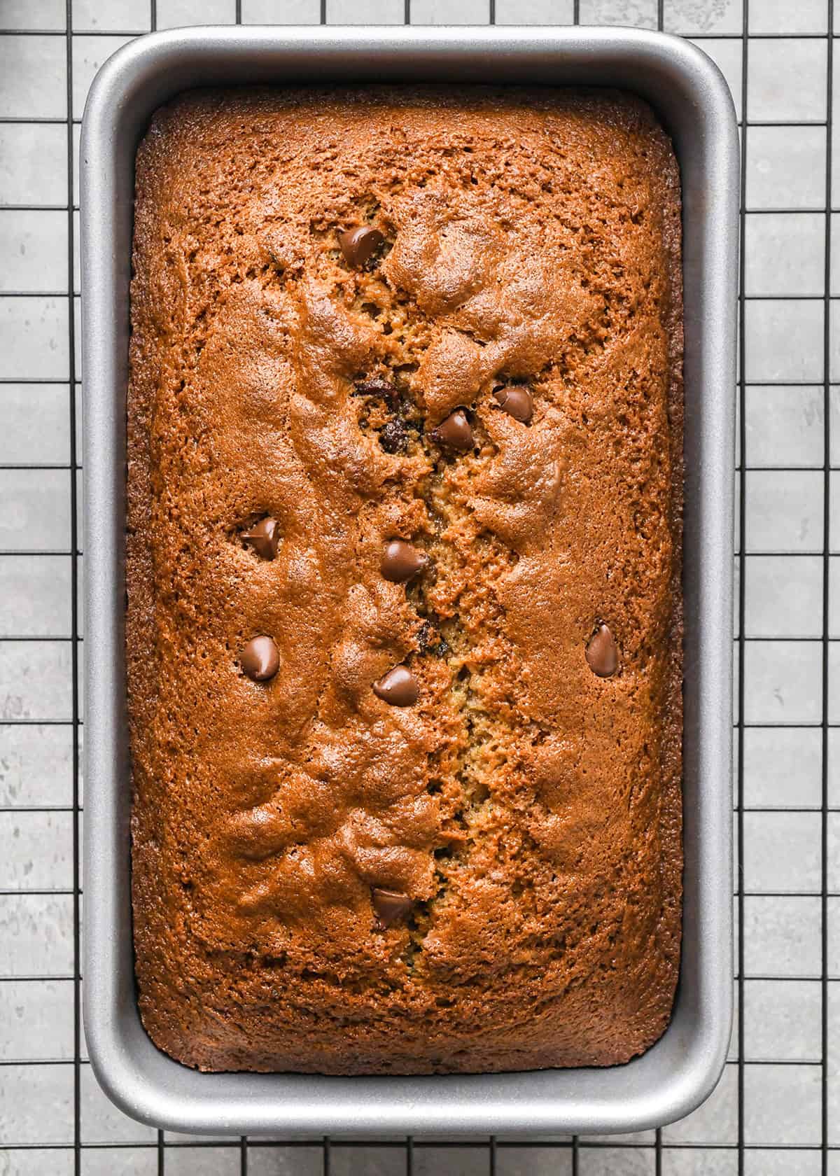 Chocolate Chip Zucchini Bread in a loaf pan after baking
