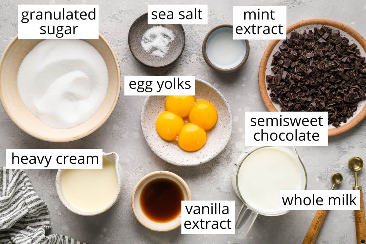 overhead photo of the labeled ingredients in this Mint Chocolate Chip Ice Cream recipe
