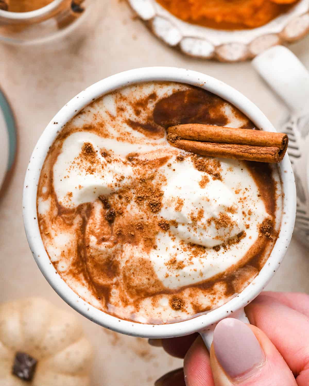 An overhead photo of a hand holding a mug filled with pumpkin hot chocolate, topped with whipped cream, dusted with pumpkin spice, and garnished with a cinnamon stick. Surrounded by pumpkins
