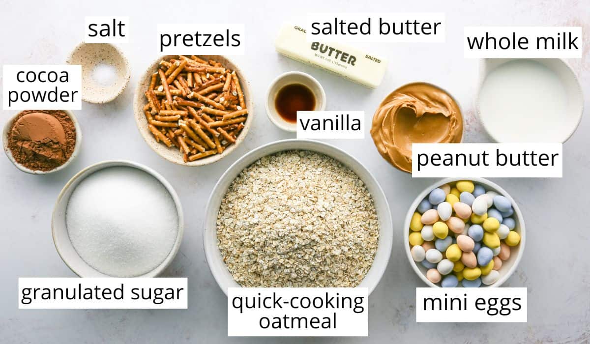 Overhead view of labeled ingredients for bird’s nest cookies arranged on a light surface, including quick-cooking oatmeal, granulated sugar, cocoa powder, pretzels, peanut butter, whole milk, salted butter, vanilla, salt, and pastel mini candy eggs.