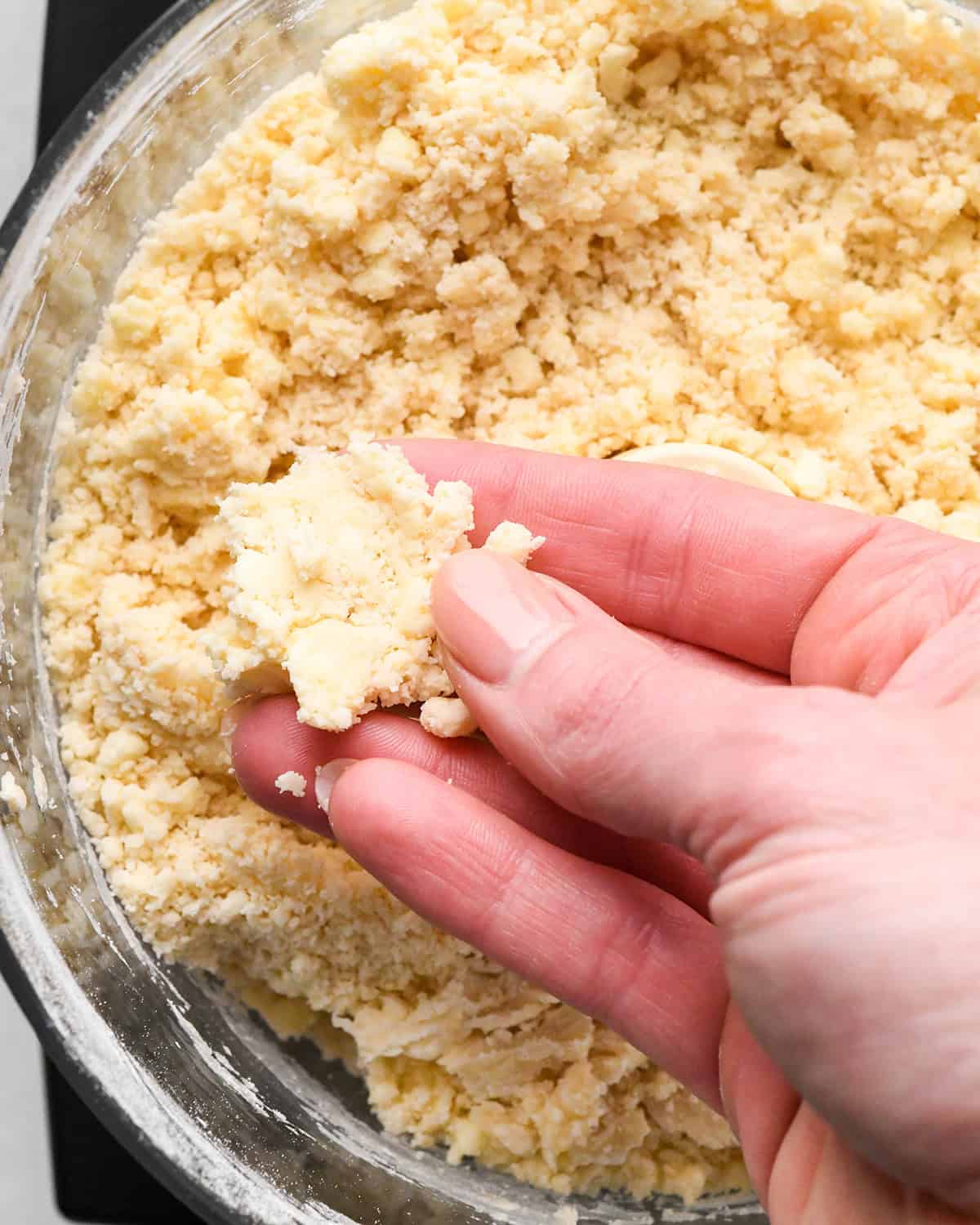 making pie crust in a food processor - crust after pulsing