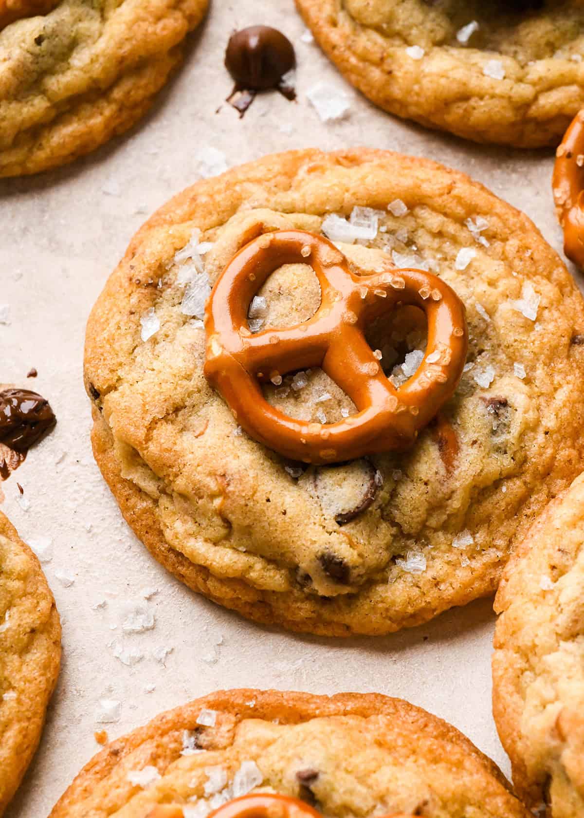 a chocolate chip pretzel cookie topped with a mini pretzel and a sprinkle of flaky sea salt. surrounded by chocolate chips and pretzels and other cookies