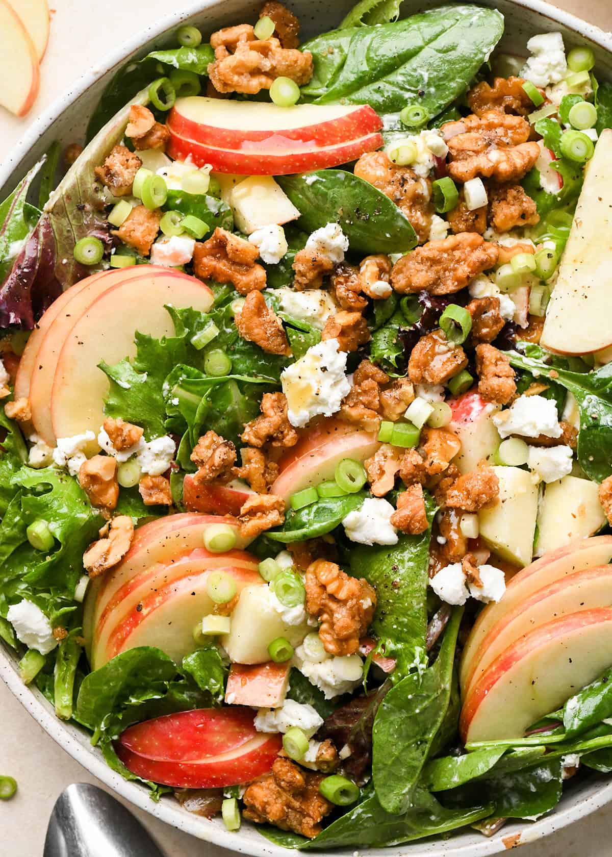 close up of apple salad with mixed greens, thinly sliced apples, crumbled goat cheese, candied walnuts, chopped green onions, and a vinaigrette dressing, served in a white bowl
