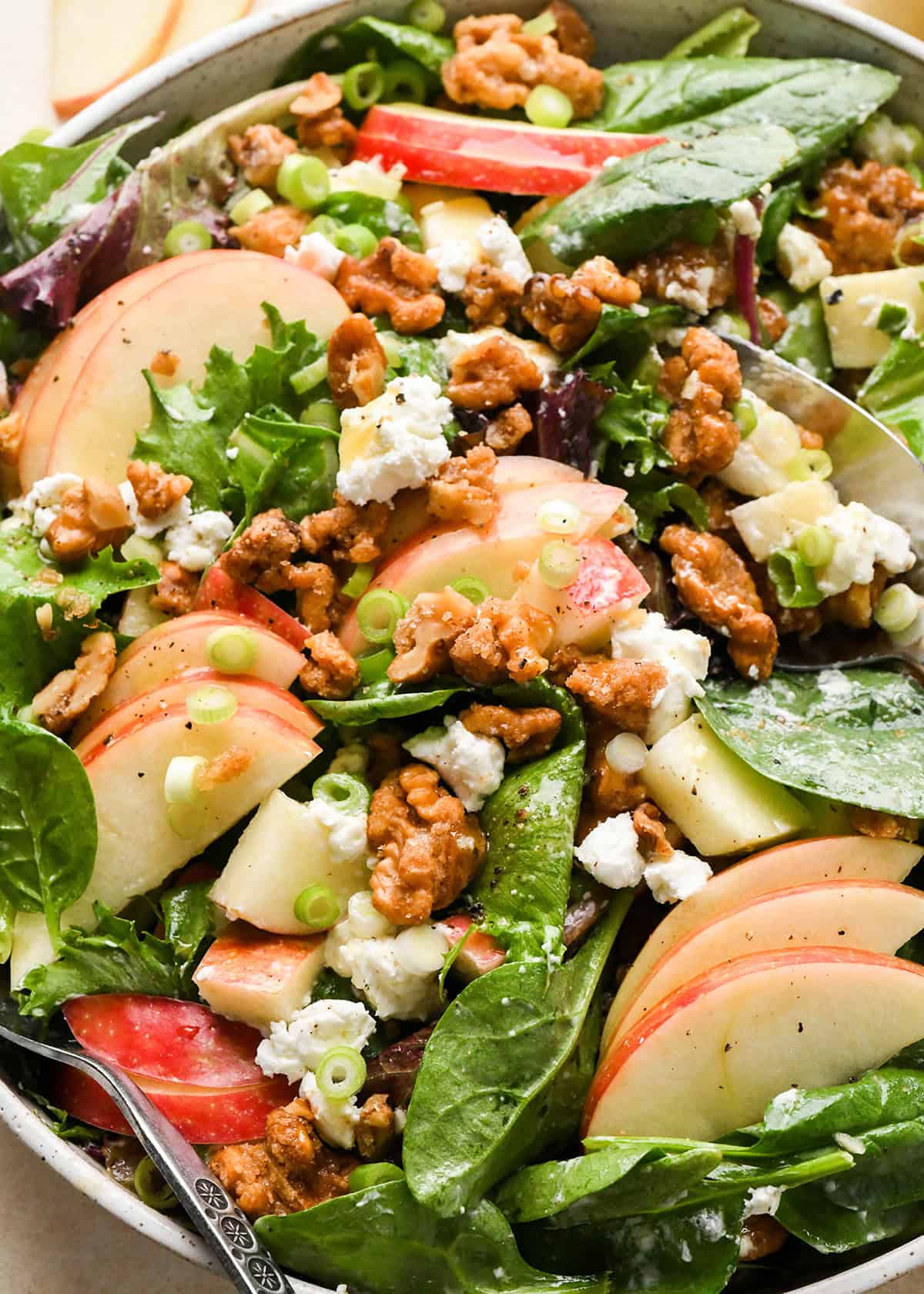 close up of apple salad with mixed greens, thinly sliced apples, crumbled goat cheese, candied walnuts, chopped green onions, and a vinaigrette dressing, served in a white bowl with a serving spoon