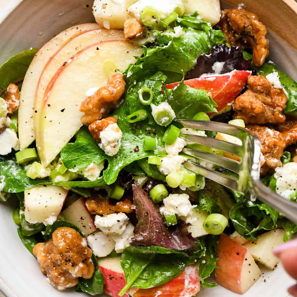 a fork taking a bite of apple salad in a bowl with mixed greens, thinly sliced apples, crumbled goat cheese, candied walnuts, chopped green onions, and a vinaigrette dressing, served in a white bowl