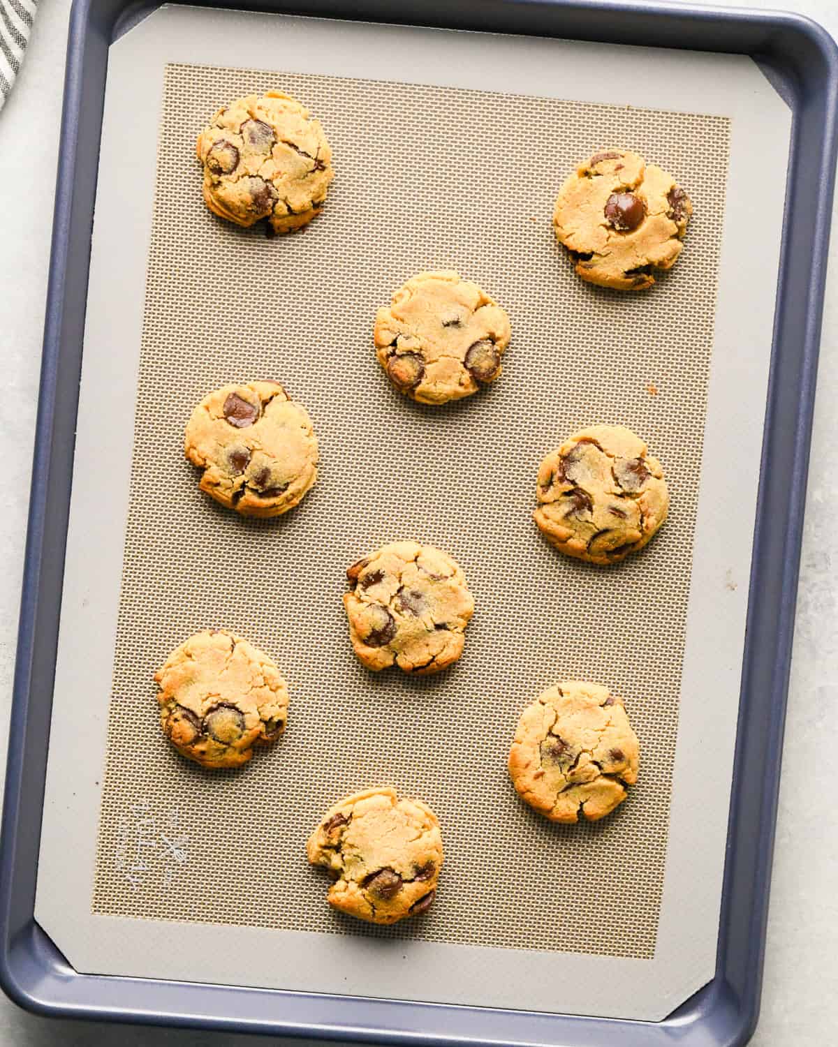 9 chocolate chip Coconut Flour Cookies on a baking sheet after baking