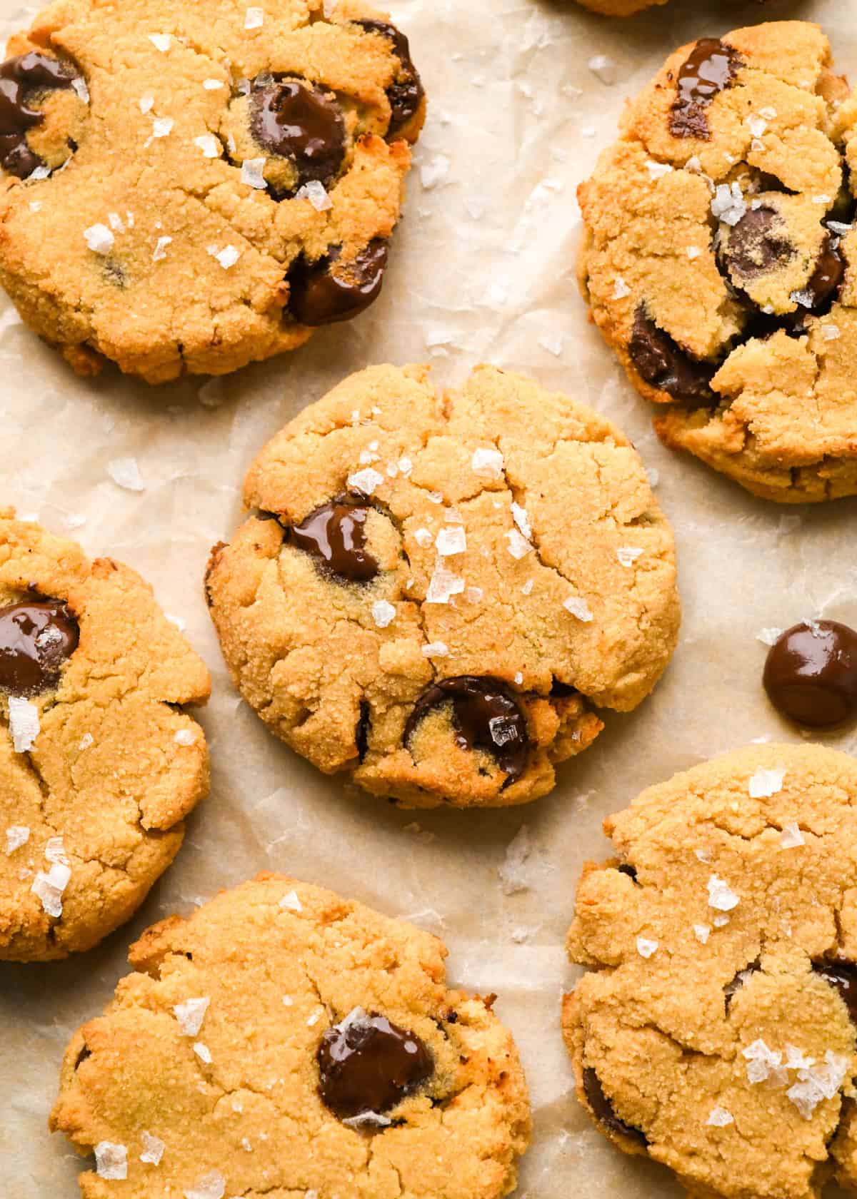 6 chocolate chip coconut flour cookies sprinkled with sea salt on parchment paper with melty chocolate chips
