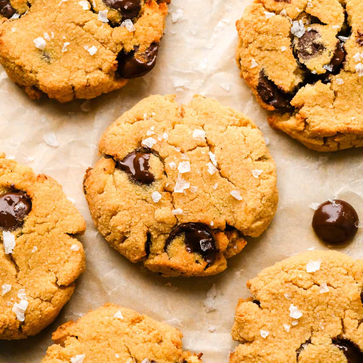 5 chocolate chip coconut flour cookies sprinkled with sea salt on parchment paper with melty chocolate chips