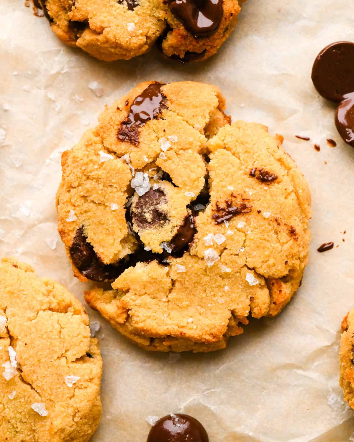 a coconut flour cookie cut in half with gooey chocolate chips and sea salt, surrounded by 3 other cookies and chocolate chips