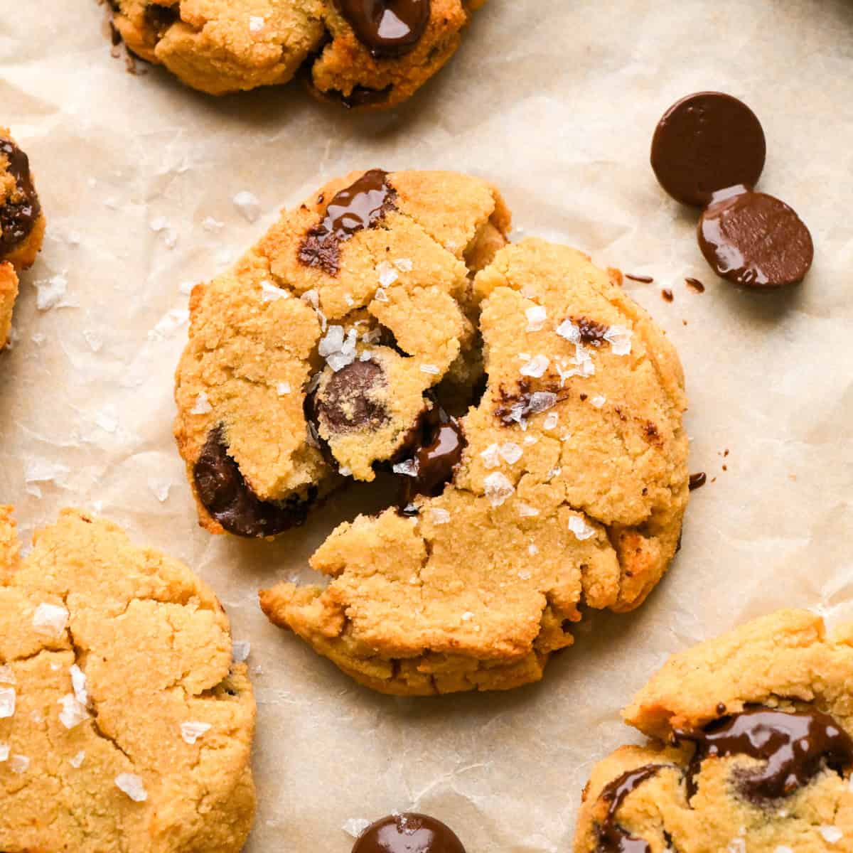 a chocolate chip coconut flour cookie cut in half with gooey chocolate chips and sea salt, surrounded by 4 other coconut flour cookies and chocolate chips