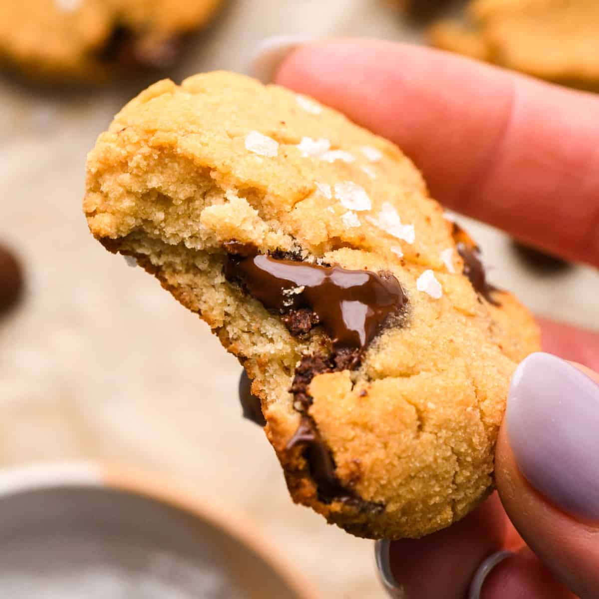 a hand holding a chocolate chip Coconut Flour Cookie topped with sea salt with a bite taken out of it