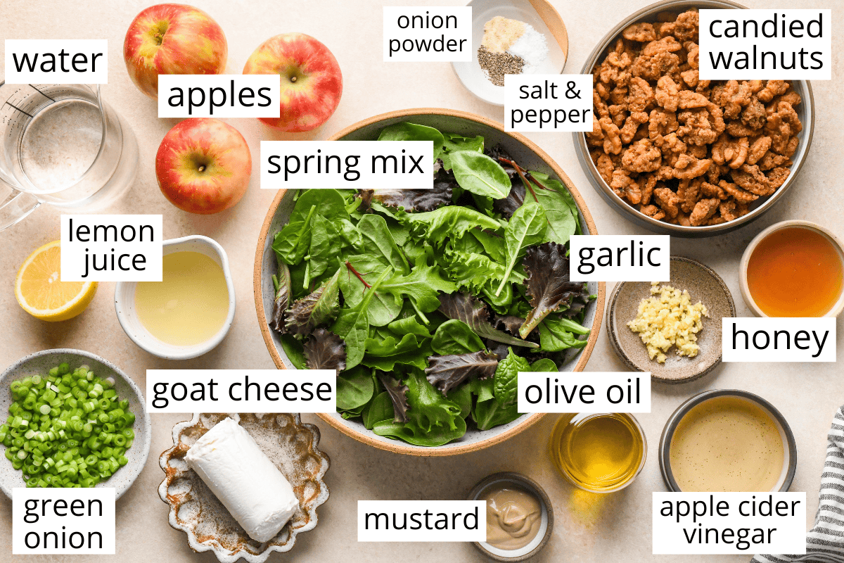 overhead photo of the labeled ingredients in this Apple Salad recipe like spring mix, candied walnuts, goat cheese, green onion and more