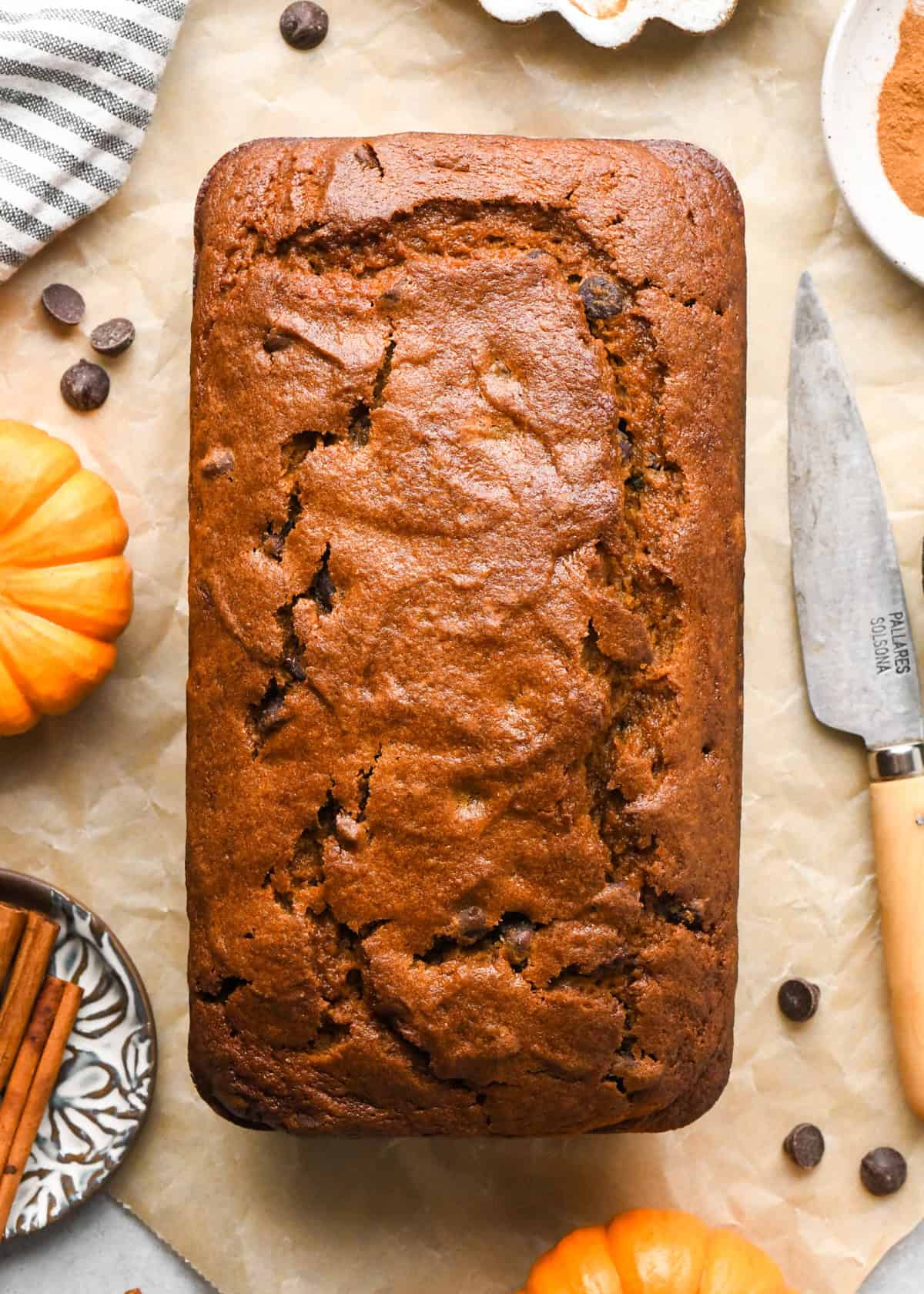 a whole loaf of chocolate chip pumpkin bread on parchment paper surrounded by mini pumpkins, cinnamon sticks, and a knife