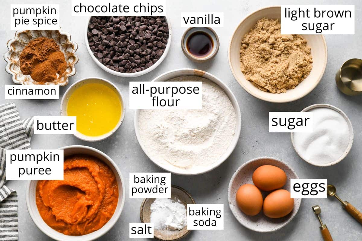 overhead photo of the labeled ingredients in this Pumpkin Chocolate Chip Bread recipe like flour, butter, pumpkin puree, brown sugar, sugar, eggs, chocolate chips and more. 