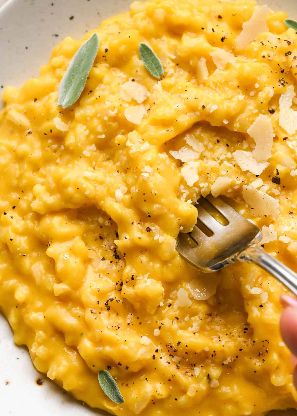 close-up photo of butternut squash risotto topped with shaved parmesan cheese, sage leaves, and black pepper on a white speckled plate with a fork