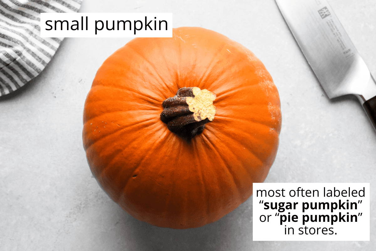 overhead photo of the ingredient, a pie pumpkin, in this pumpkin puree recipe