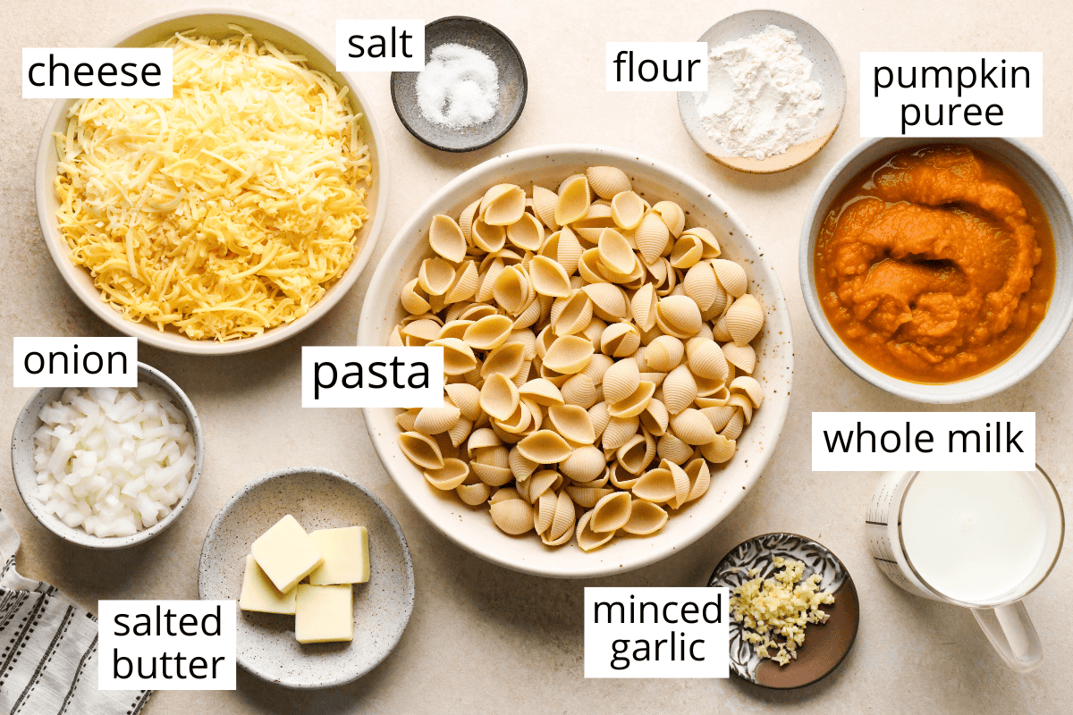 overhead photo of the ingredients for this pumpkin mac and cheese recipe in bowls and labeled like cheese, pasta, flour, pumpkin puree, hole milk, minced garlic, salted butter and onion