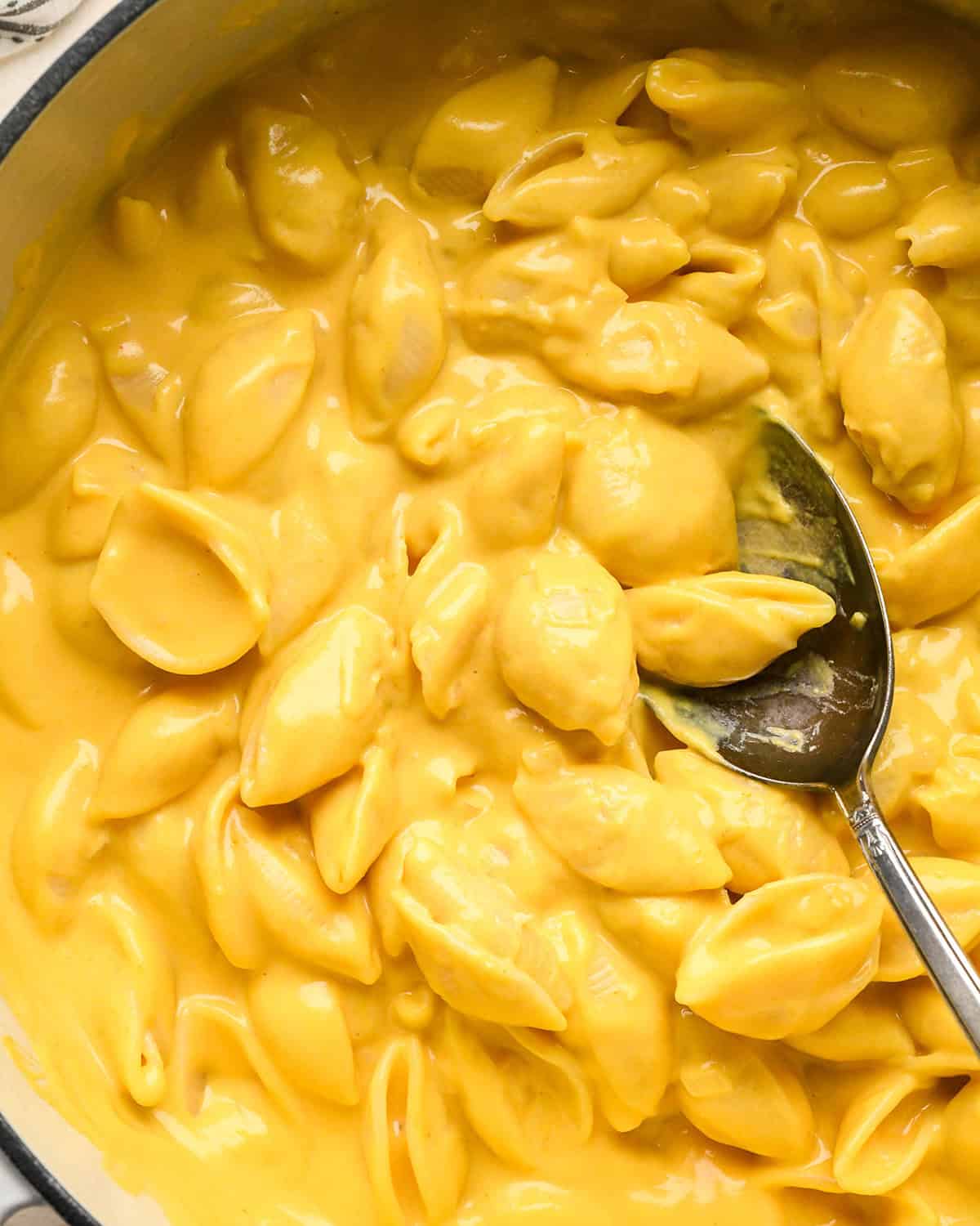 close-up of creamy pumpkin mac and cheese made with shell pasta in a pot with a metal spoon