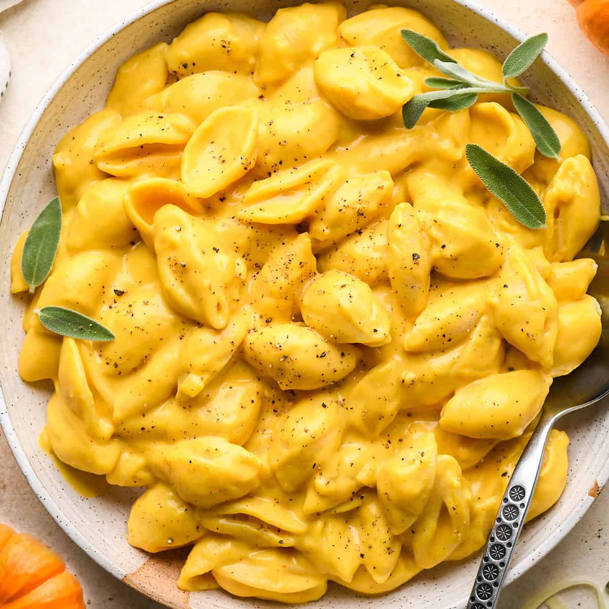 pumpkin macaroni and cheese made with shell pasta sprinkled with black pepper and garnished with fresh sage leaves in a speckled ceramic bowl with a metal spoon, with shredded cheese and 2 mini pumpkins in the background.