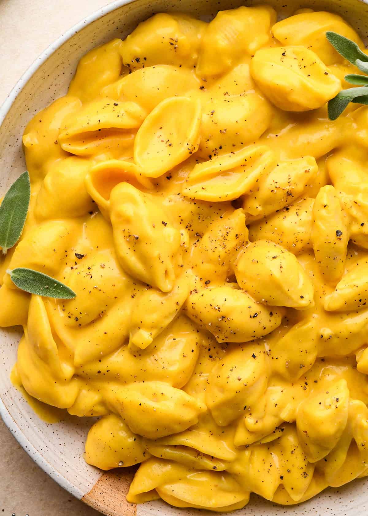 close-up of creamy pumpkin macaroni and cheese made with shell pasta sprinkled with black pepper and garnished with fresh sage leaves in a speckled ceramic bowl