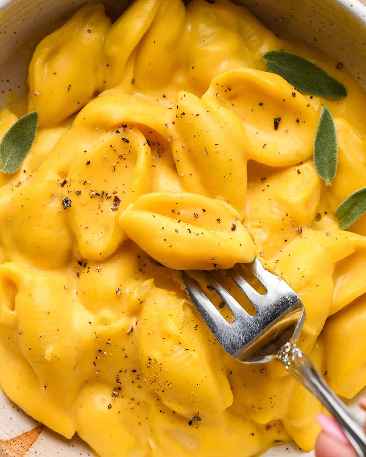 up close photo of a fork taking a bite of pumpkin macaroni and cheese made with shell pasta garnished with black pepper and sage leaves