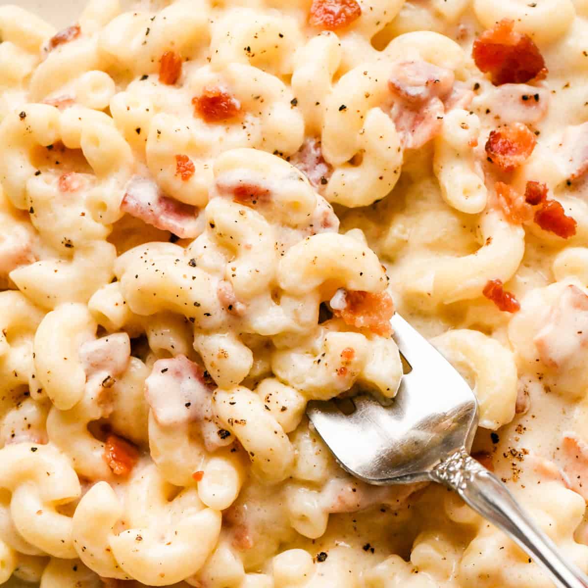 close up photo of a hand holding a fork taking a bite of  Bacon macaroni and cheese topped with cooked bacon pieces and freshly ground black pepper