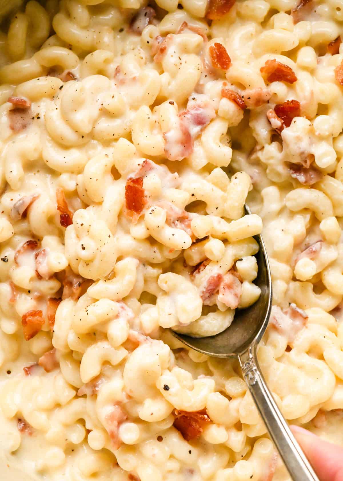 close up photo of a a spoon taking a scoop of Bacon macaroni and cheese out of the pot