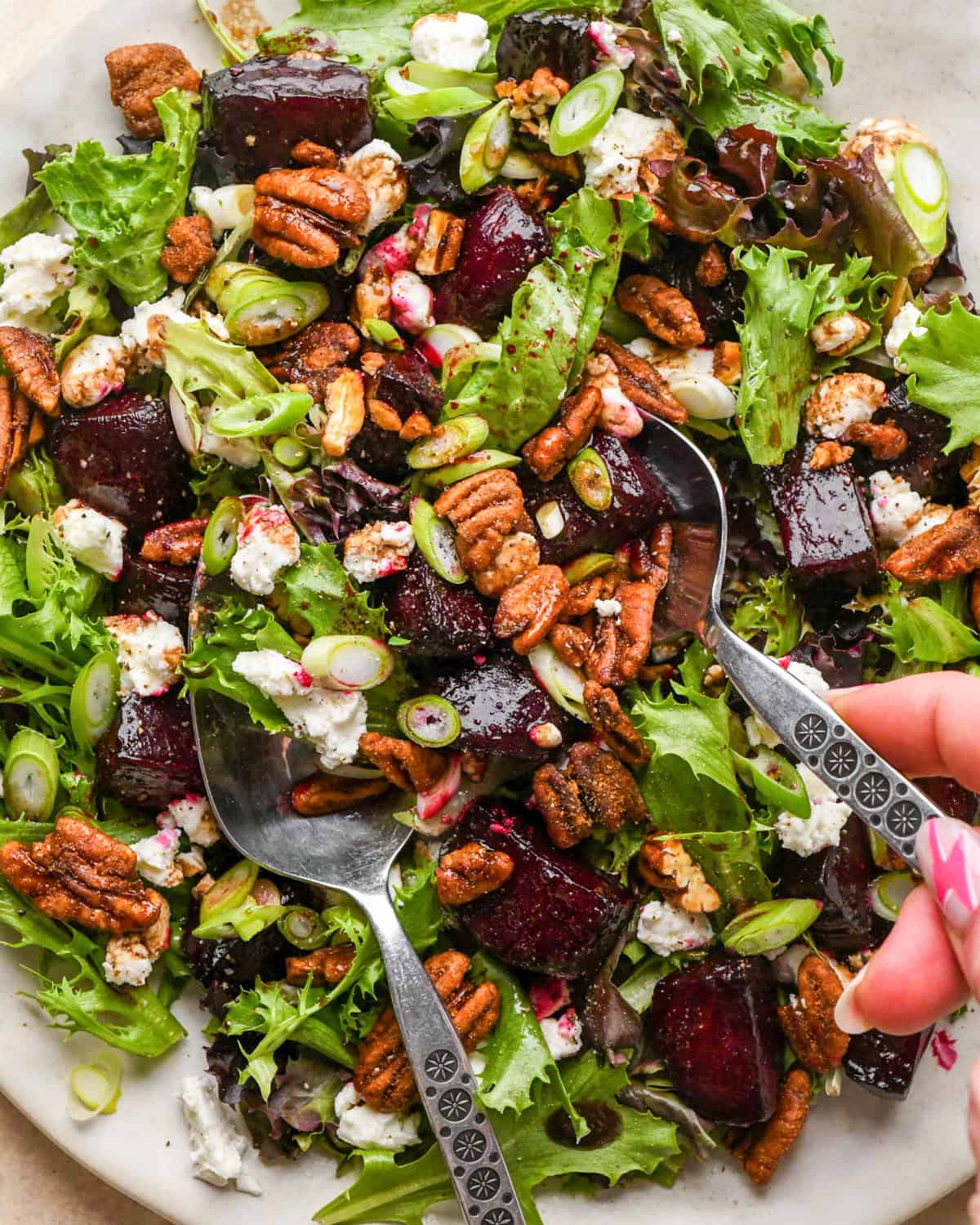 two silver spoons taking a serving of beet salad on a white plate, made with mixed greens, roasted beets, goat cheese, sliced green onions, and candied pecans.