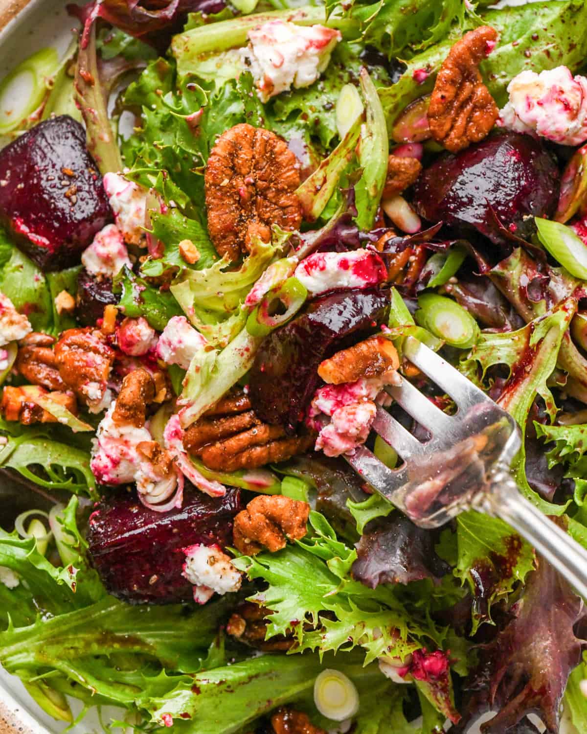 close-up of a fork taking a bite of beet salad on a white plate, made with mixed greens, roasted beets, goat cheese, sliced green onions, and candied pecans.