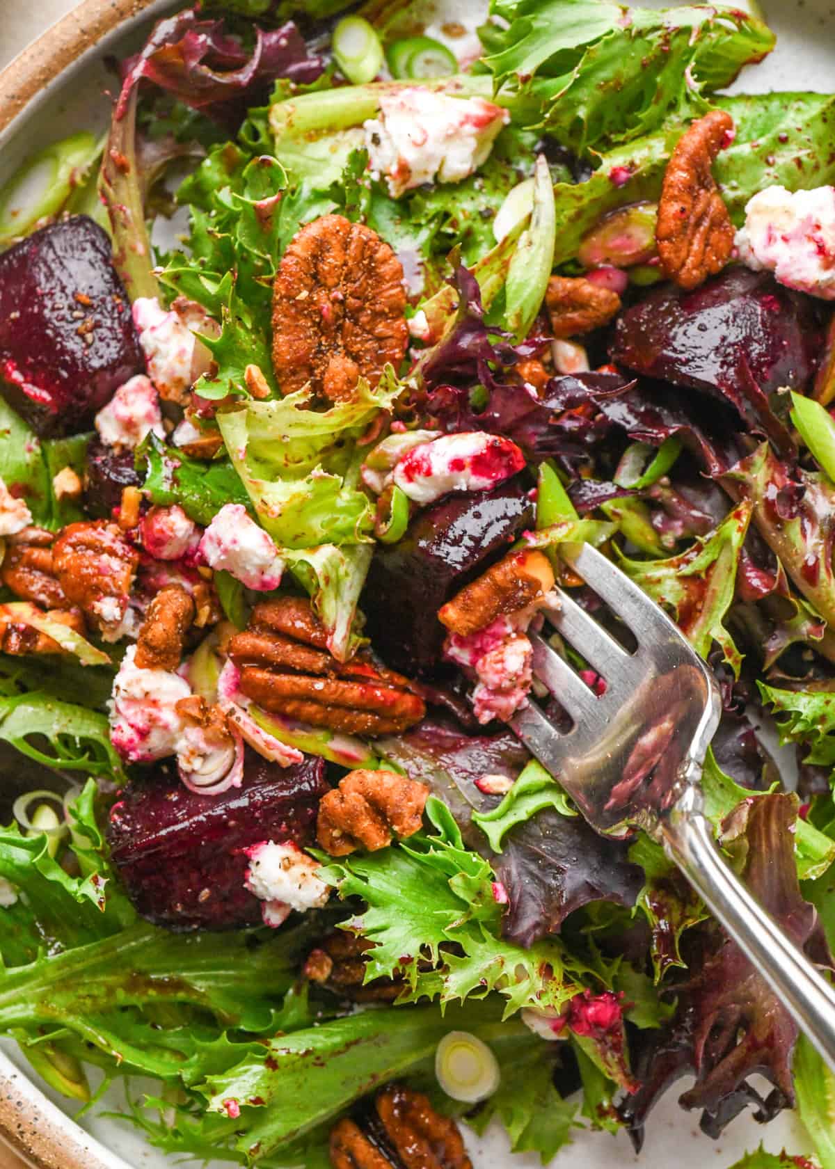 close-up of a fork taking a bite of beet salad on a white plate, made with mixed greens, roasted beets, goat cheese, sliced green onions, and candied pecans.