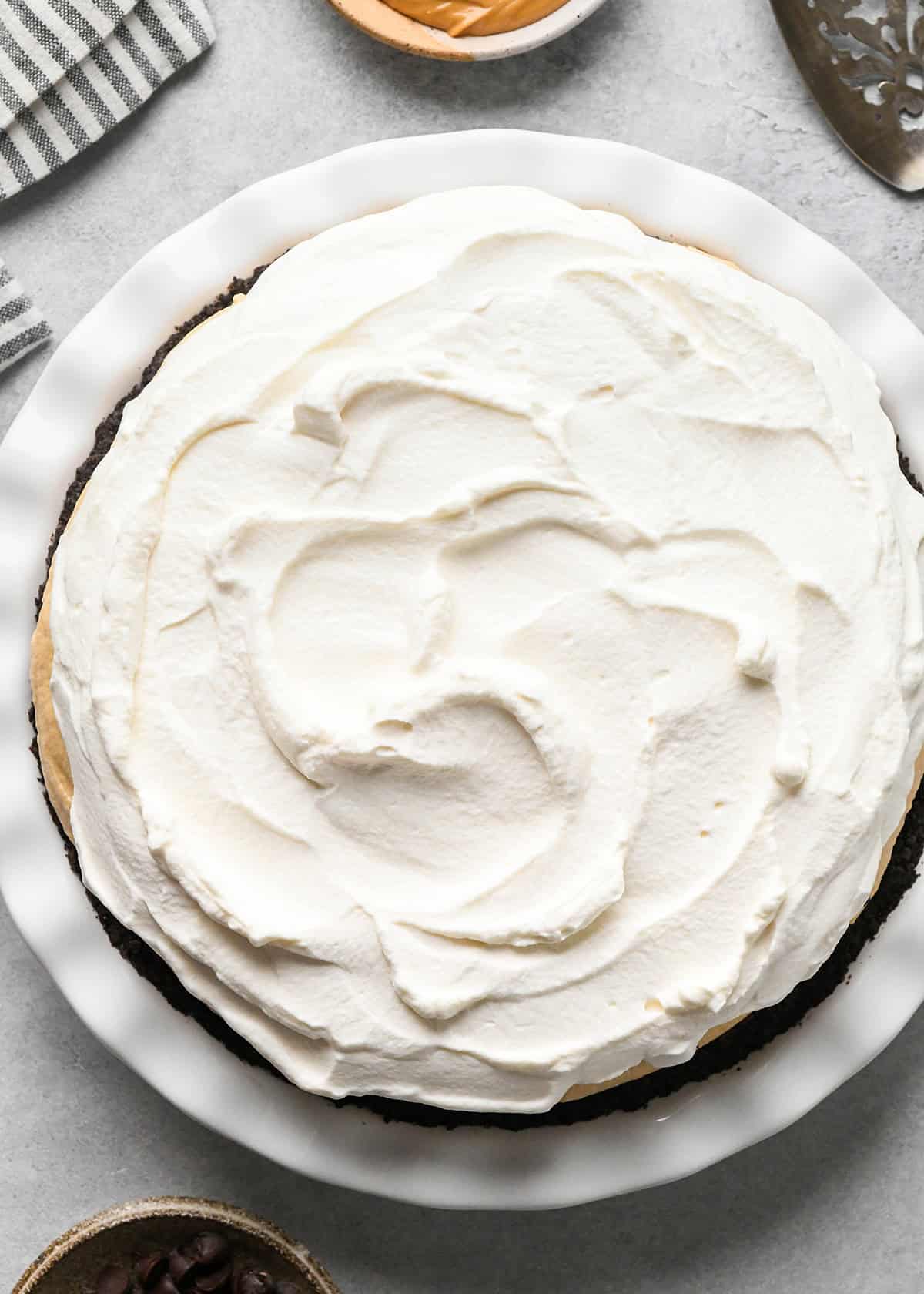 assembled chocolate peanut butter pie in a white pie dish on a gray surface