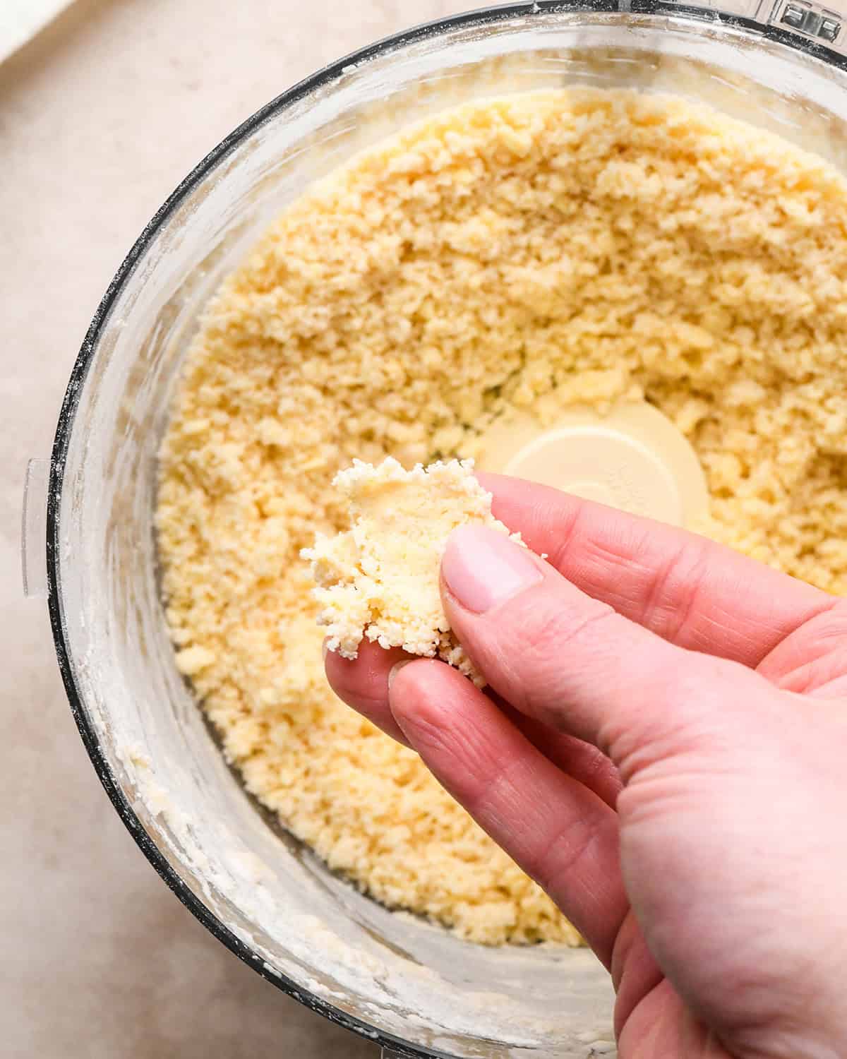 dutch apple pie crust dough in a food processor with a hand holding a piece of dough over the processor and pinching it together