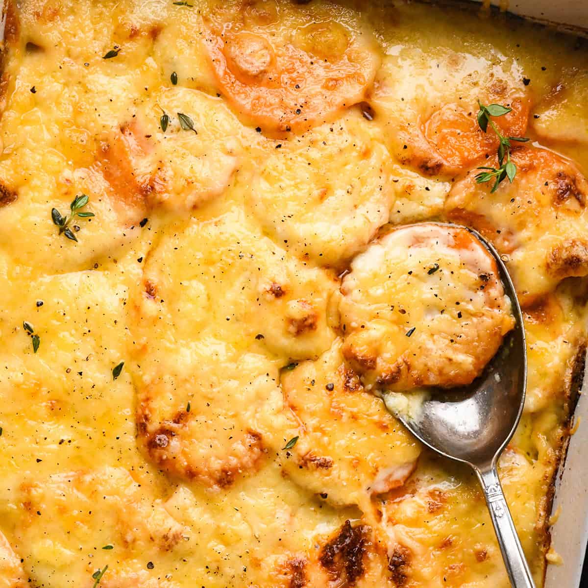 Close-up of sweet potato gratin topped with melted cheese and garnished with fresh thyme and black pepper, with a silver spoon lifting a serving out of the baking dish