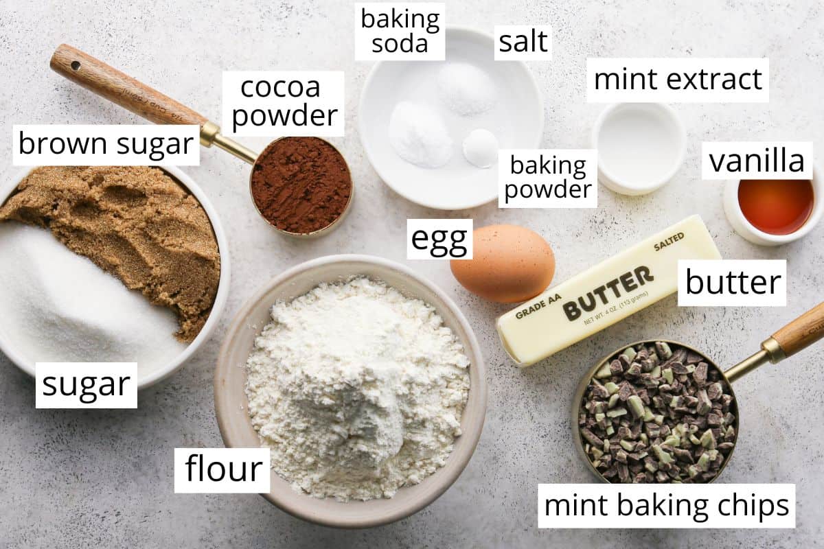 Top-down view of measured ingredients for chocolate mint cookies, including flour, cocoa powder, mint baking chips, brown sugar, granulated sugar, butter, an egg, vanilla extract, mint extract, baking soda, baking powder, and salt.