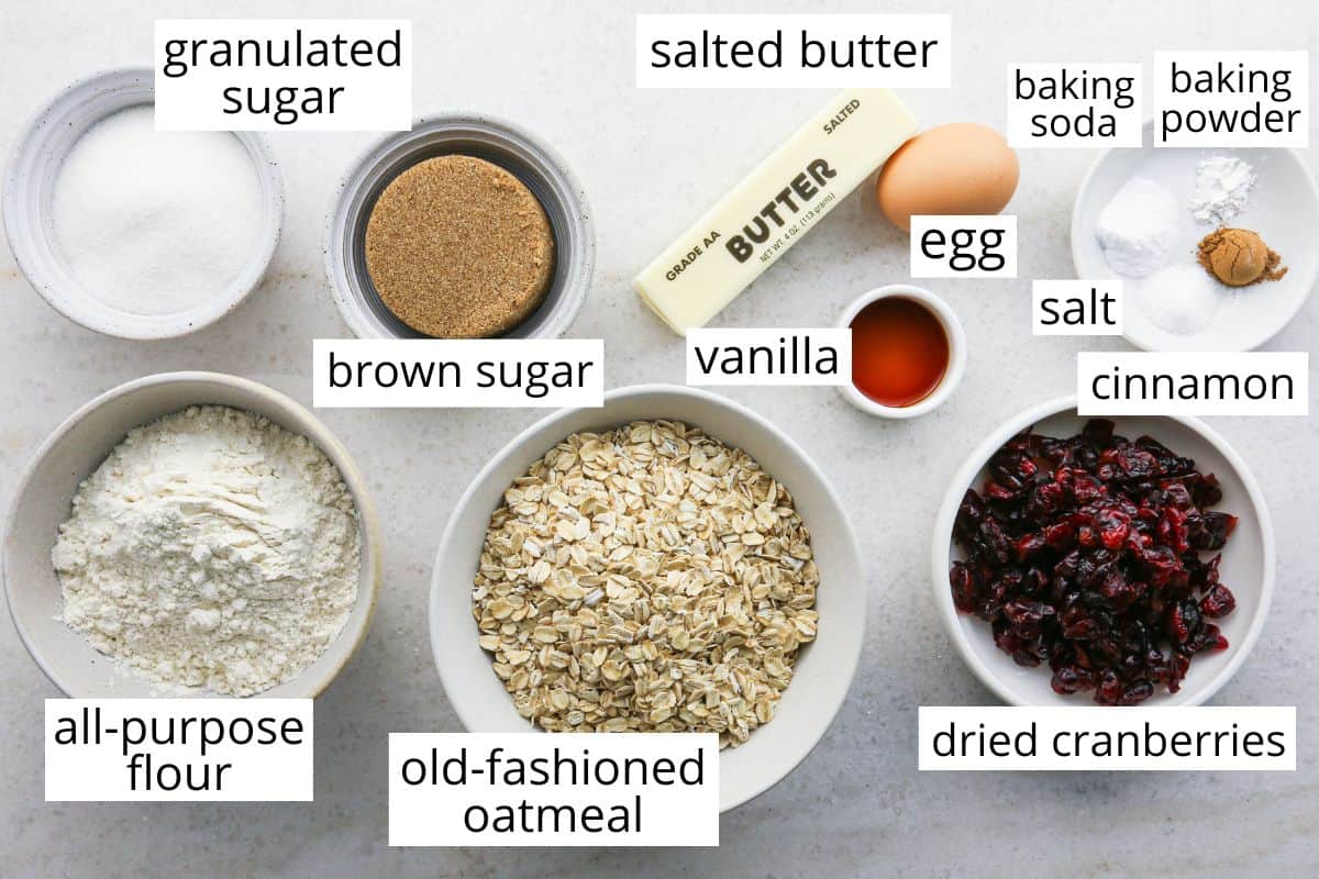 Top-down view of measured ingredients for cranberry oatmeal cookies, including old-fashioned oats, all-purpose flour, dried cranberries, granulated sugar, brown sugar, salted butter, vanilla extract, an egg, baking soda, baking powder, cinnamon, and salt.