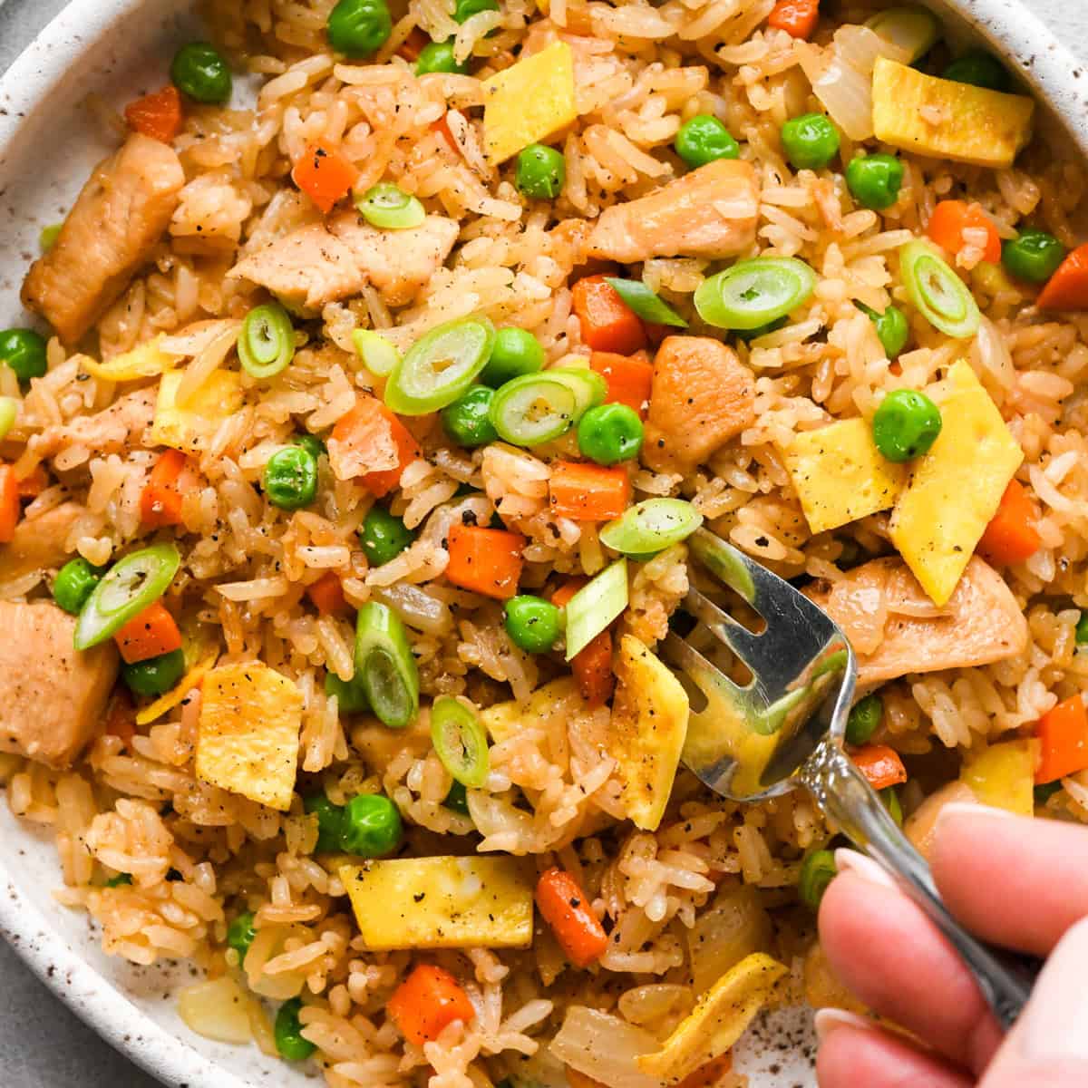 Making chicken fried rice: close-up photo of chicken fried rice in a white speckled bowl and topped with green onions, being eaten with a fork.