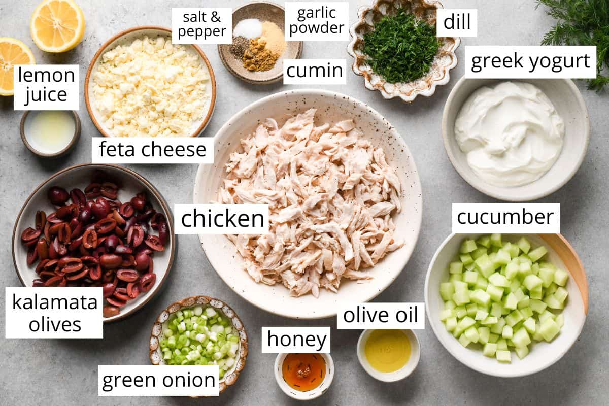 Overhead view of ingredients for Greek chicken salad arranged on a gray surface, including bowls of shredded chicken, diced cucumber, sliced Kalamata olives, crumbled feta cheese, chopped green onion, fresh dill, Greek yogurt, olive oil, honey, lemon juice, and small dishes of salt, pepper, garlic powder, and cumin.