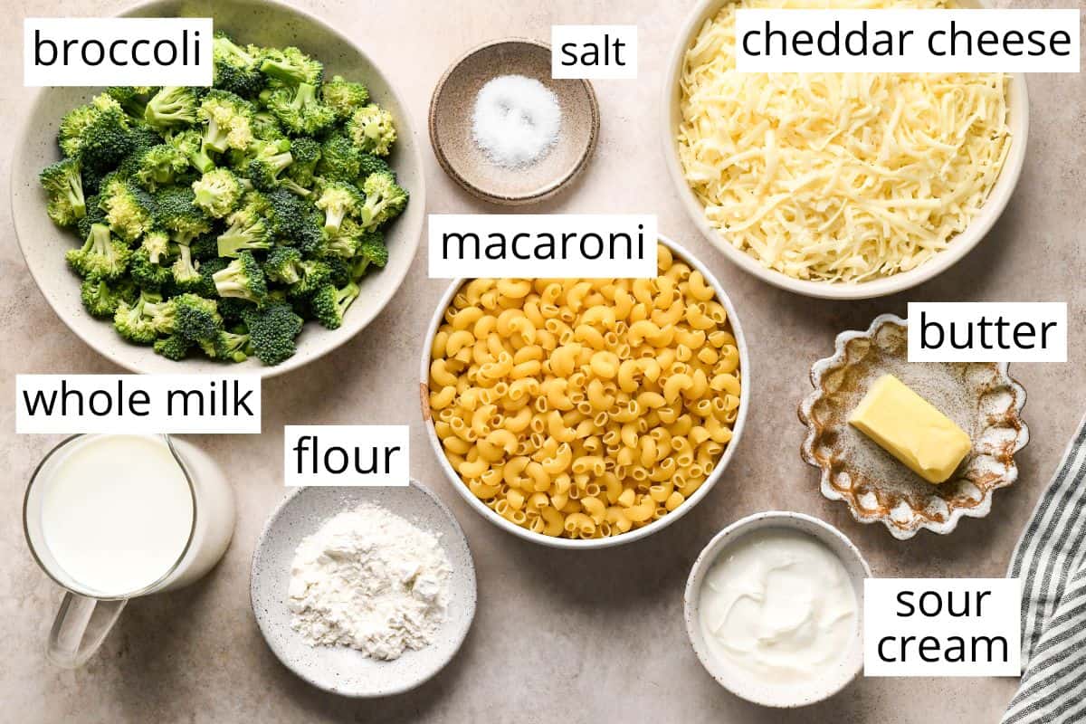Overhead view of labeled ingredients for broccoli mac and cheese, including broccoli florets, elbow macaroni, shredded cheddar cheese, whole milk, butter, flour, sour cream, and salt arranged on a light surface.