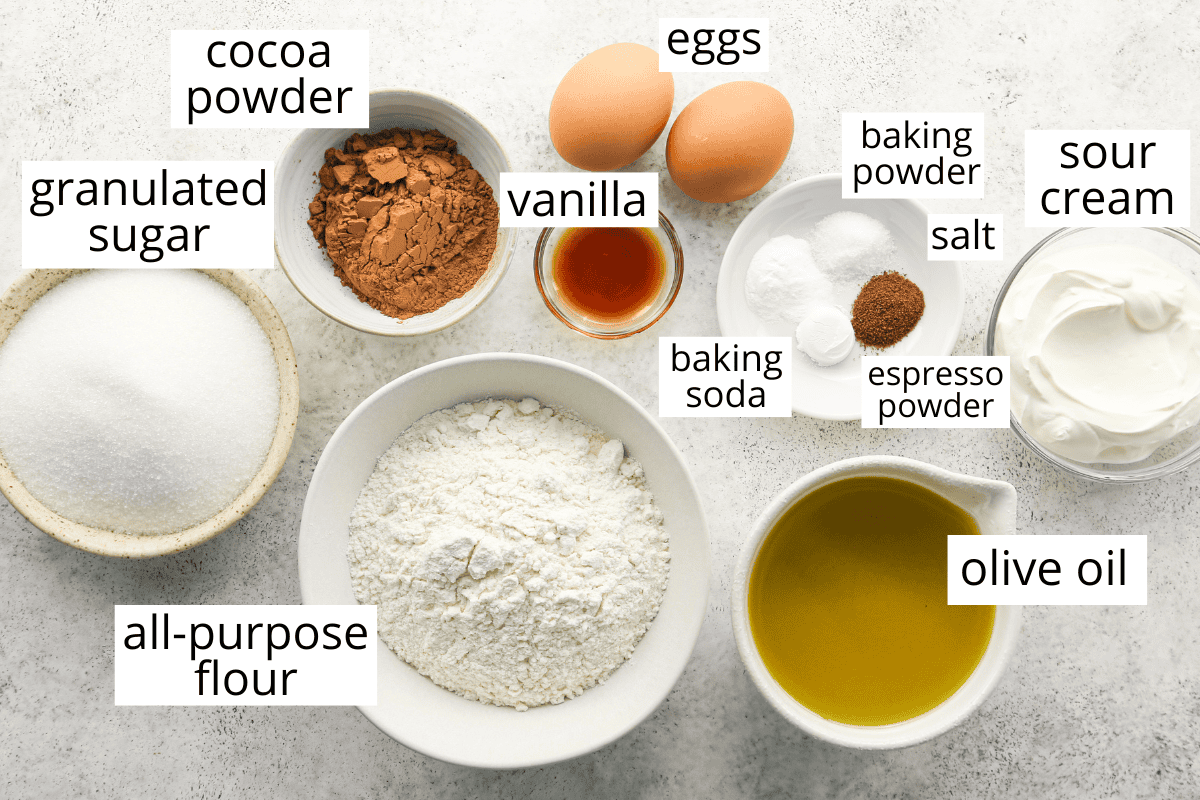 overhead photo of the labeled ingredients in this chocolate olive oil cake recipe all in bowls like cocoa powder, sugar, flour, olive oil, etc.