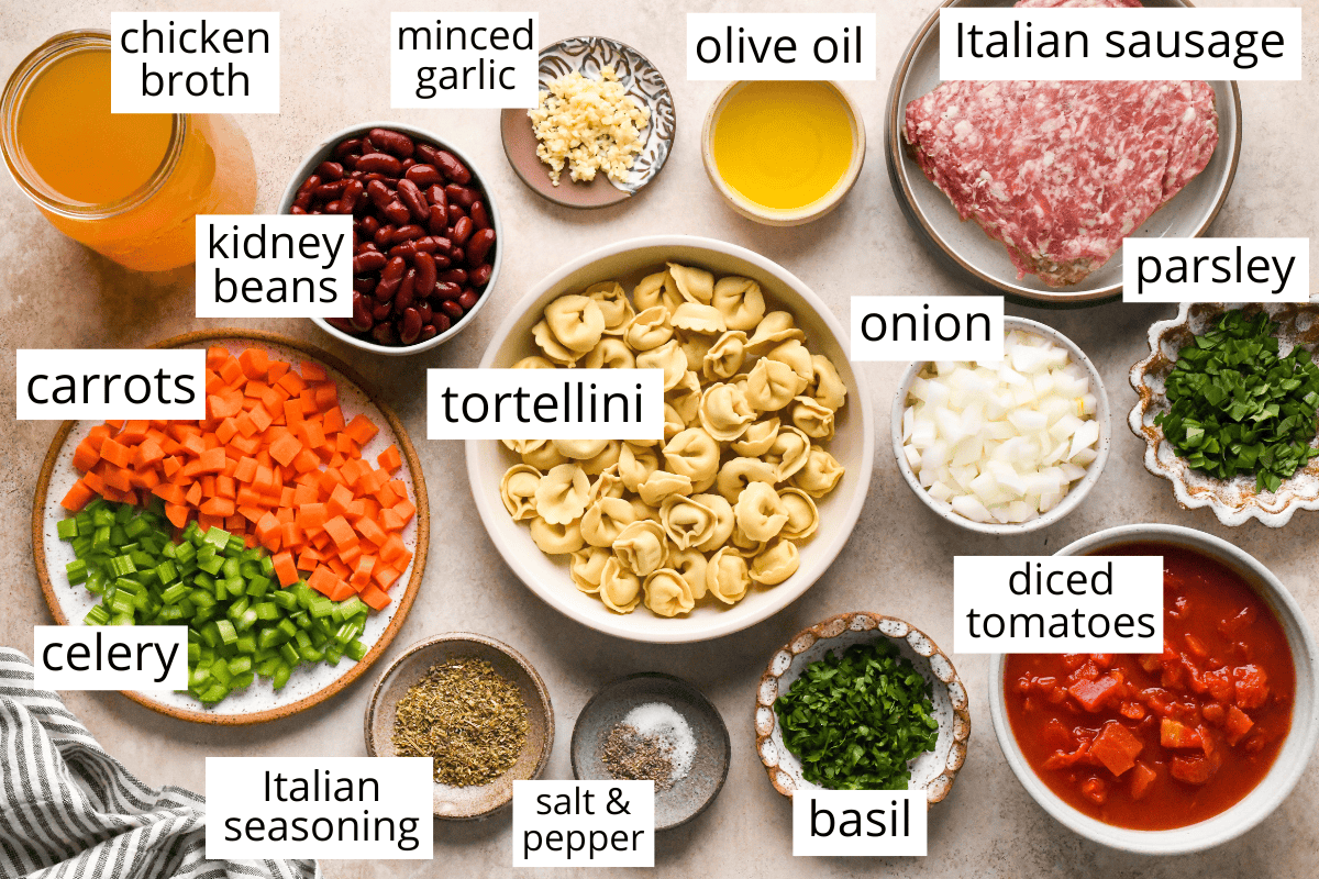 Overhead view of labeled ingredients for sausage tortellini soup arranged on a light surface, including chicken broth, olive oil, Italian sausage, tortellini, kidney beans, diced tomatoes, onion, minced garlic, carrots, celery, parsley, basil, Italian seasoning, and salt and pepper.