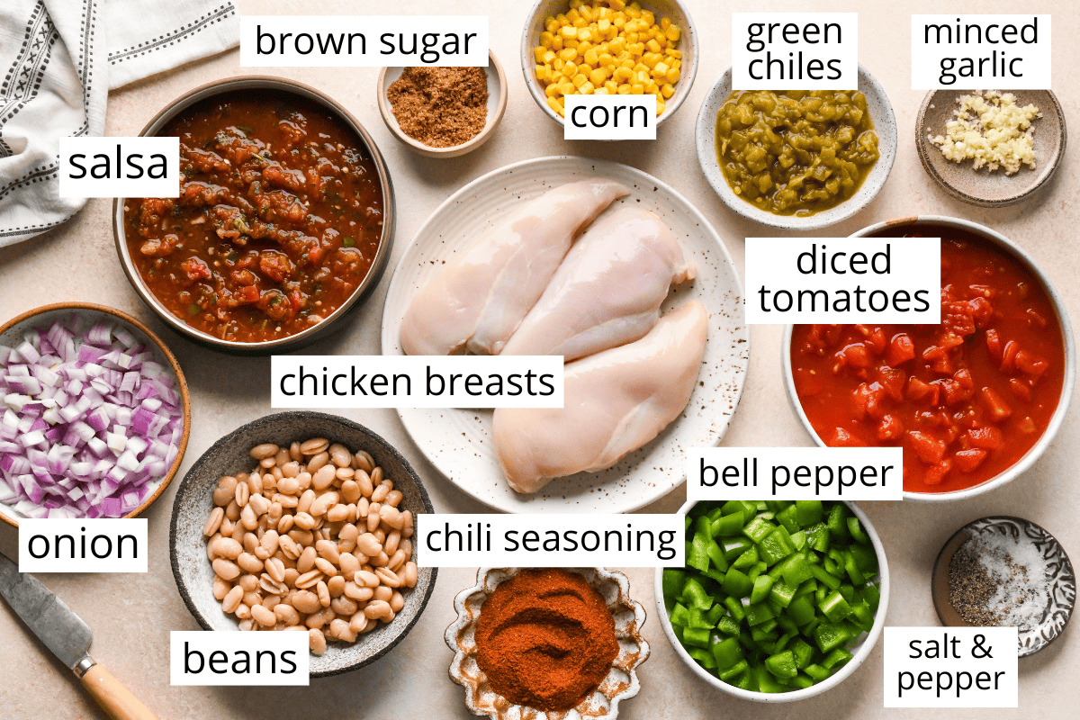 the labeled ingredients in this crock pot chicken chili recipe like chicken breasts, diced tomatoes, chili seasoning and more