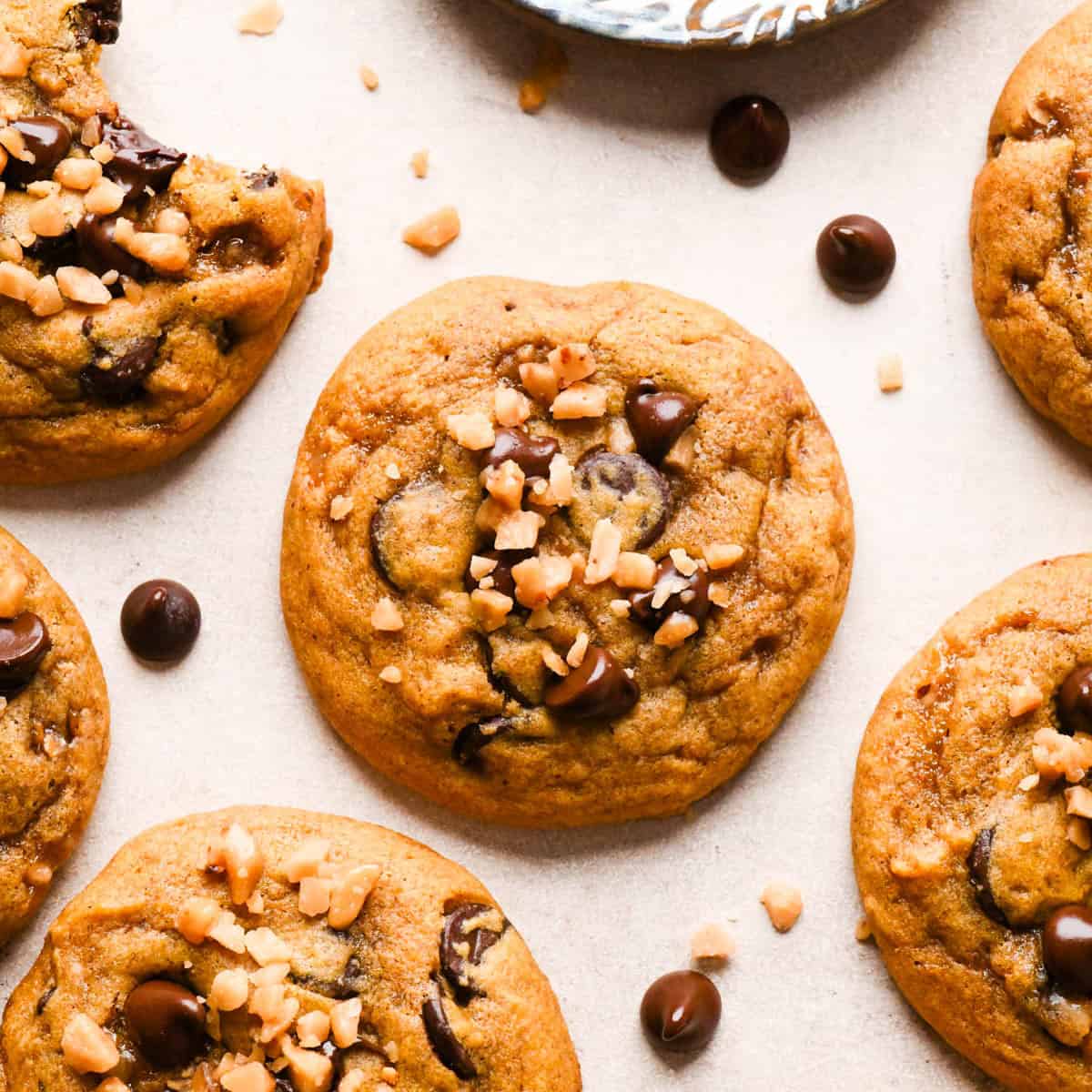 5 brown butter pumpkin cookies with chocolate chips and toffee bits on top surrounded by more chocolate chips and toffee bits, the cookie in the top left corner has a bite taken out of it.