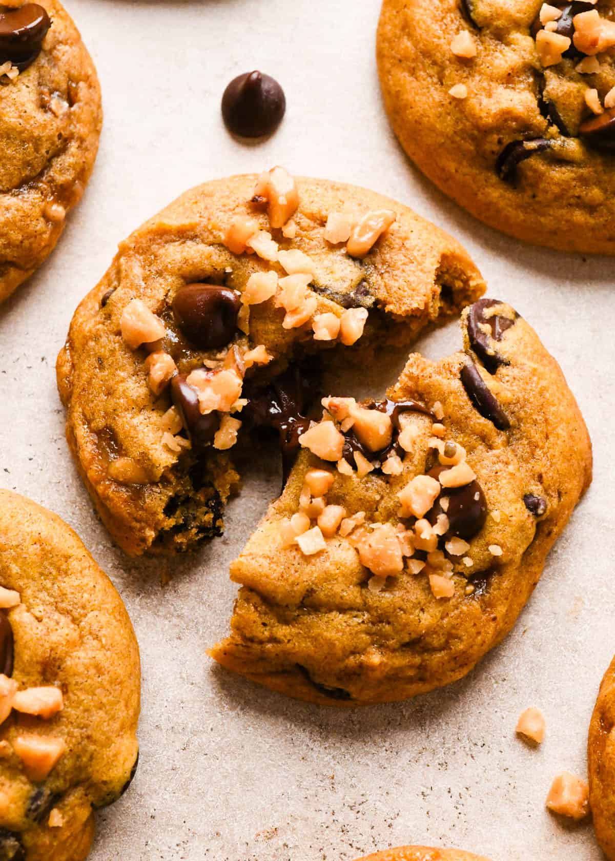 brown butter pumpkin cookie torn in half so the melty chocolate chips are showing, topped with extra toffee bits and surrounded by more cookies