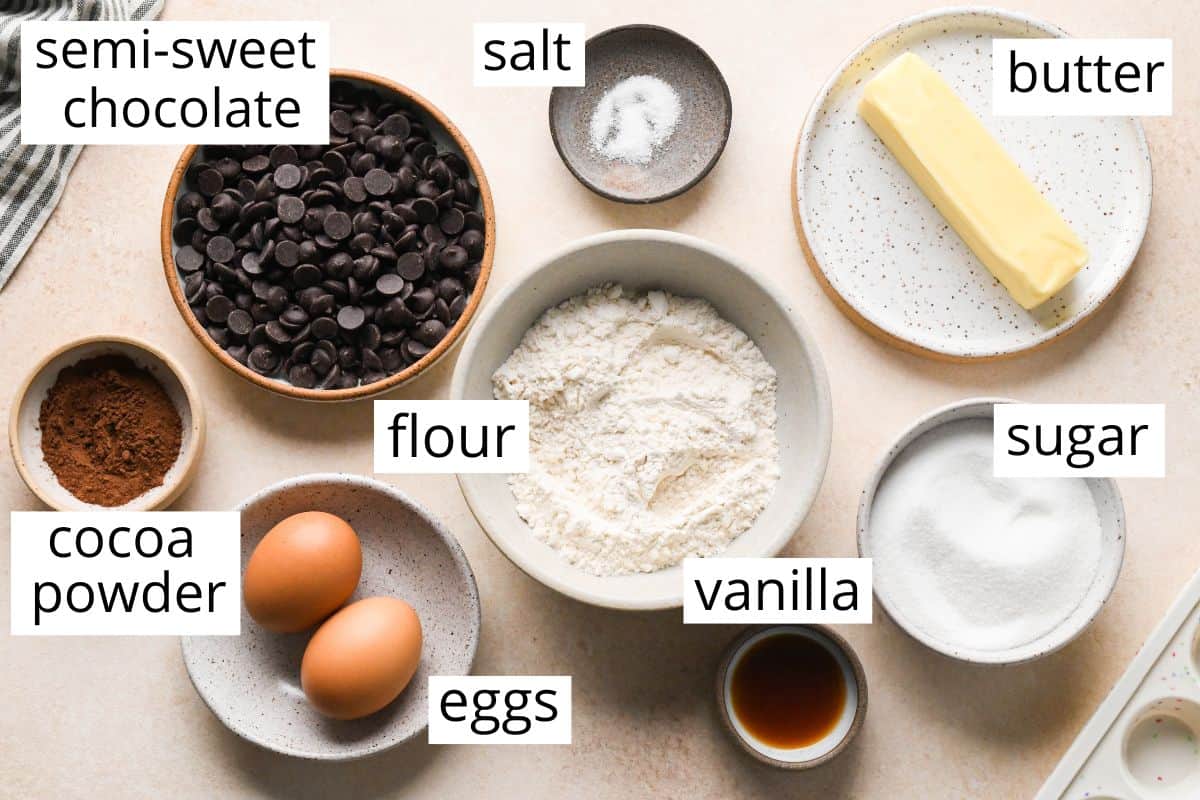 overhead photo of the ingredients in this brownie bites recipe in bowls and labeled including butter, chocolate chips, flour, vanilla, cocoa powder, eggs, and sugar