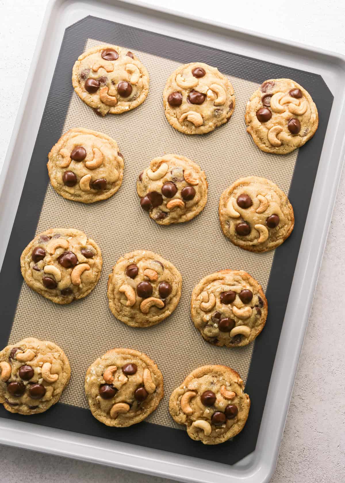 Chocolate chip cashew cookies: overhead photo of 12 chocolate chip cashew cookies on a baking sheet after they have finished baking.