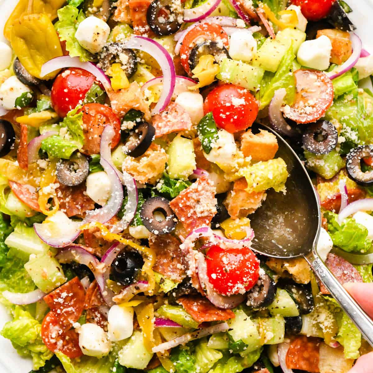 close up photo of Italian salad with black olives, cucumbers, tomatoes, lettuce, basil, and croutons and there's a silver spoon taking a scoop out of the salad