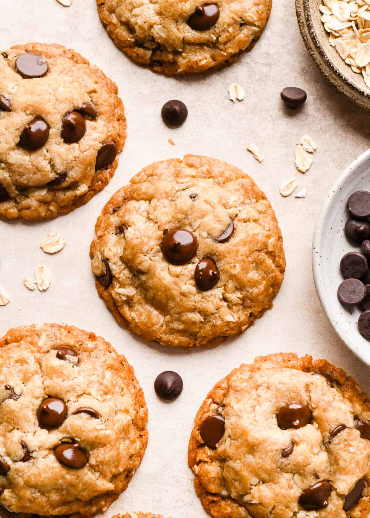 5 vegan oatmeal chocolate chip cookies with melty chocolate chips surrounded by oats and chocolate chips.